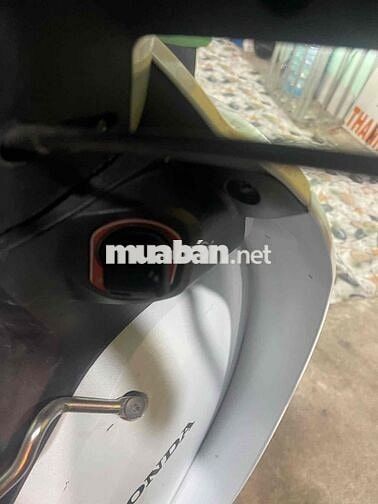 wave 2024 bstp kiểng đẹp lên smatkey