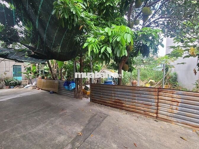 Chính chủ bán 2 lô đất DT:102m2 giá 6 tỷ 5,DT:146m2 giá 8 tỷ ,HBC,TĐ