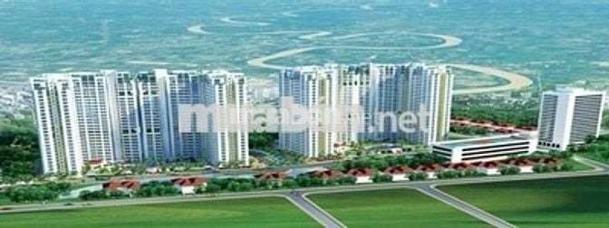 Cần tìm bạn ở ghép (ở liền được)