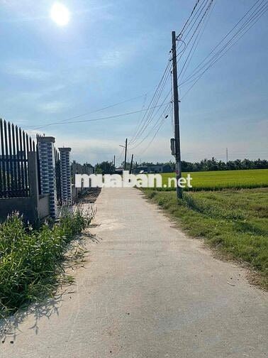 giáp bến lức 1,4 tỷ / 653m2 thổ cư, an nhựt tân - tân trụ long an