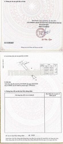 Chính chủ gửi bán 1 cặp liền kề ngay cổng 3 kcn Sikico Nhật Bản