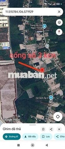 Chính chủ gửi bán 1 cặp liền kề ngay cổng 3 kcn Sikico Nhật Bản