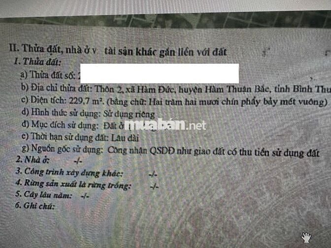 Gần 230m thổ cư mặt tiền bê tông giá siêu đầu tư