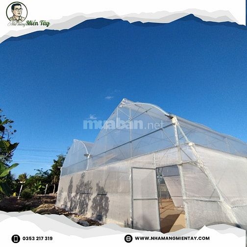 Nhà màng trồng rau chỉ từ 180k/m2