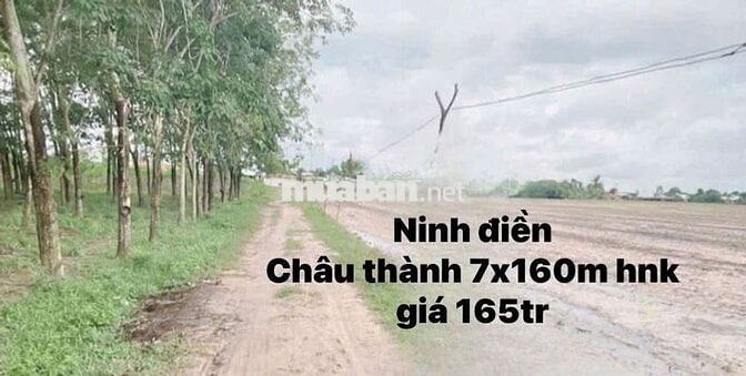 Đất ninh điền. Chỉ 165 triệu hết đất