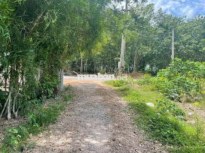 Đất ninh điền. Chỉ 165 triệu hết đất