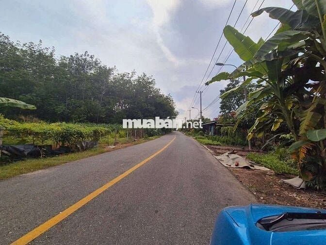 Bán đất , đường lớn an nhơn Tây 10X20 Thổ 150m. Tại Củ Chi