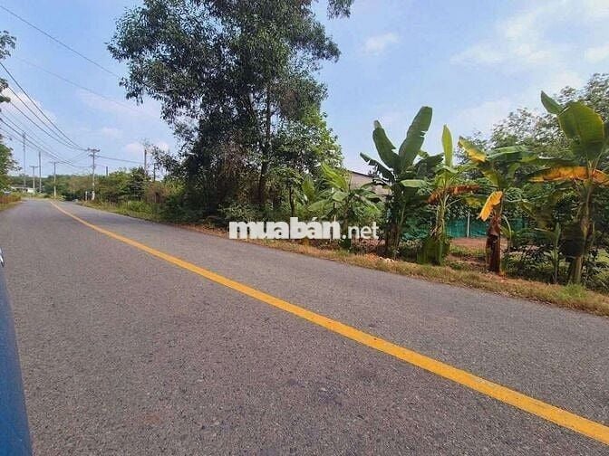 Bán đất , đường lớn an nhơn Tây 10X20 Thổ 150m. Tại Củ Chi