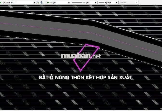Bán đất , đường lớn an nhơn Tây 10X20 Thổ 150m. Tại Củ Chi