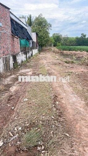 Chủ ngộp bán gấp, 6x27, full thổ, chỉ 159tr, sổ hồng riêng