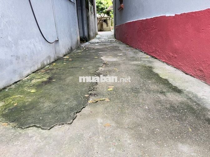 Bán đất thôn Hậu Dưỡng, Kim Chung, Đông Anh - Vị trí "vàng", gần KCN