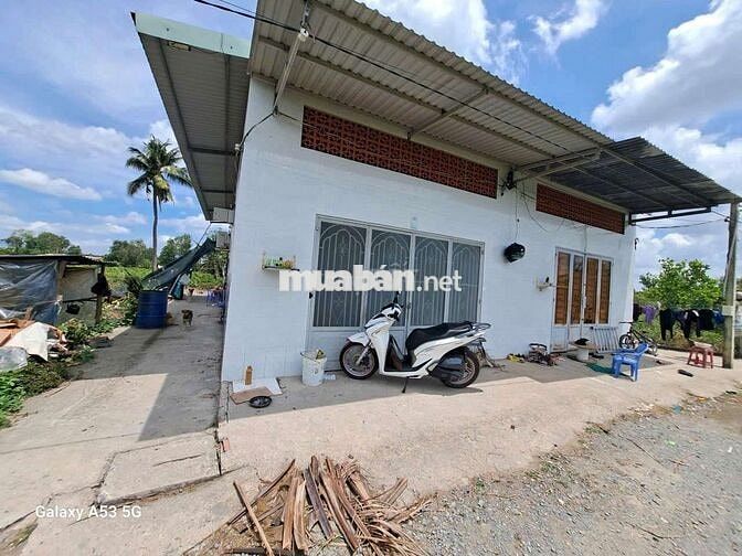 Đất thổ+vườn dt 4900m giá 7tỷ5 +(6 căn phòng trọ.fui phòng.vườn mai)