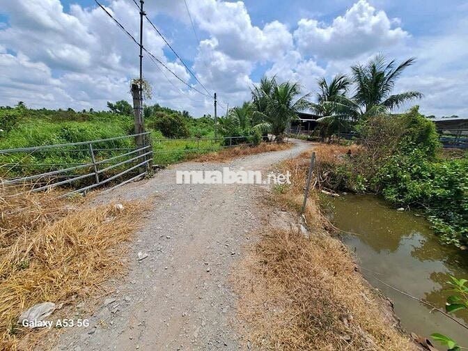 Đất thổ+vườn dt 4900m giá 7tỷ5 +(6 căn phòng trọ.fui phòng.vườn mai)