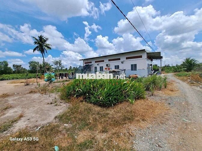 Đất thổ+vườn dt 4900m giá 7tỷ5 +(6 căn phòng trọ.fui phòng.vườn mai)