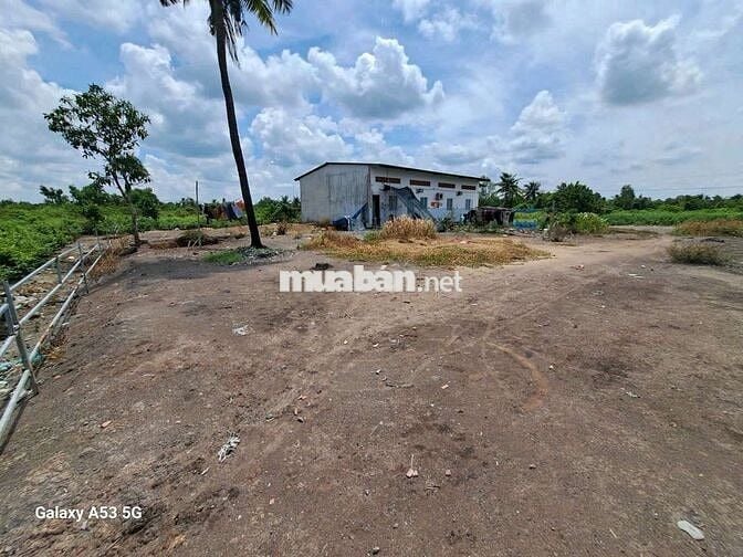 Đất thổ+vườn dt 4900m giá 7tỷ5 +(6 căn phòng trọ.fui phòng.vườn mai)