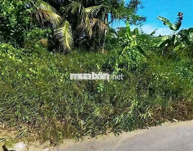 Thu hồi vốn lô đất MT Nguyễn Văn Thới , Quy Đức,Bình Chánh 80m2 772tr
