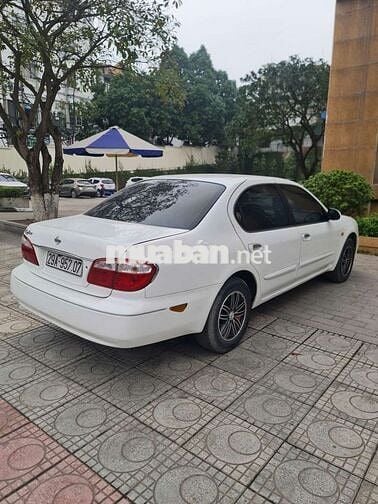 Hàng sưu tầm Cefiro cực đẹp, cực chất
