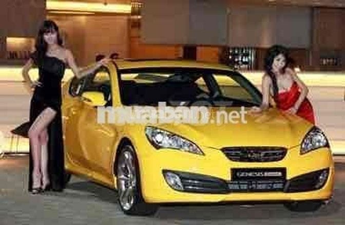 Hyundai Genesis 2010 Coupe 2.0 AT - 69000 km