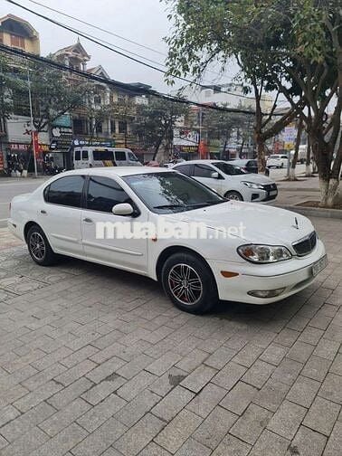 Hàng sưu tầm Cefiro cực đẹp, cực chất