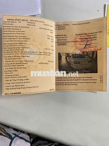 Hàng sưu tầm Cefiro cực đẹp, cực chất