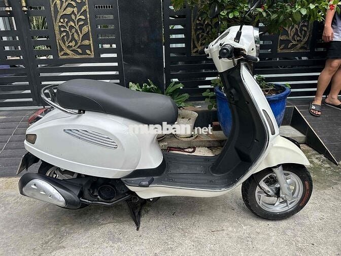 xe tay ga 50cc ko cần bằng lái