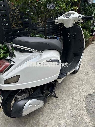 xe tay ga 50cc ko cần bằng lái