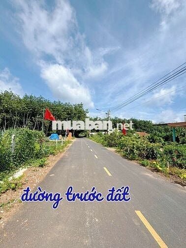 Chủ bán cắt lỗ 225m² - 100TC sát bên chợ 490tr