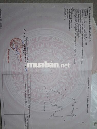Rẫy cà phê 7867m2 xã iayok cũ ( iahrung), gia lai