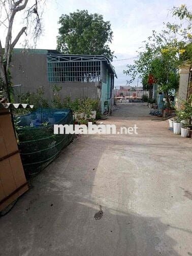 chính chủ cần bán đất hẻm đường đô lương p11 tp vũng tàu