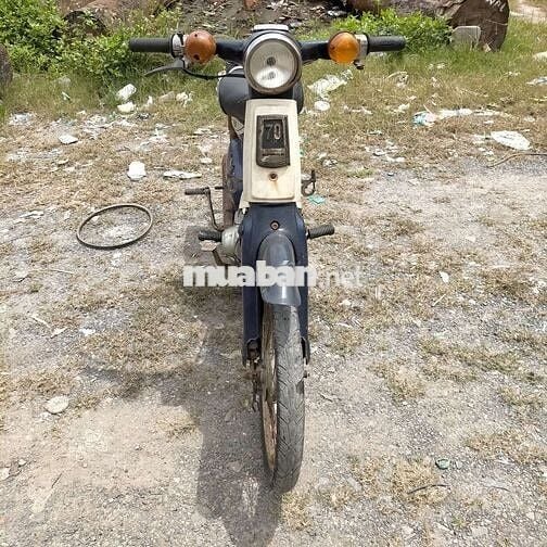 Honda Cub 50cc