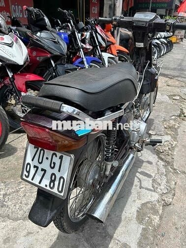 dalim citi 110 máy chất áo đẹp 6tr8