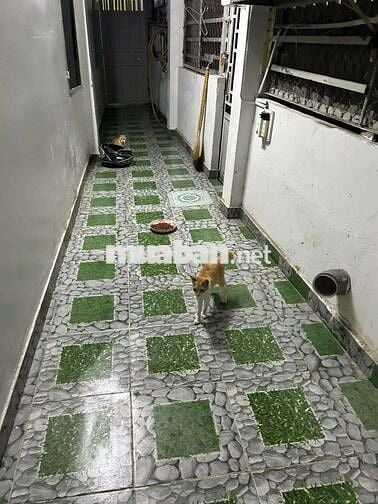Cho thuê nhà cấp 4 quốc lộ 13 củ 60m 7tr/ tháng
