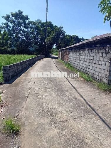 BÁN 157,4M FULL THỔ MẶT TIỀN 5,69M,GIÁ CHỈ 2,65TỶ HÒA TRÚC XÃ PHÚ CÁT