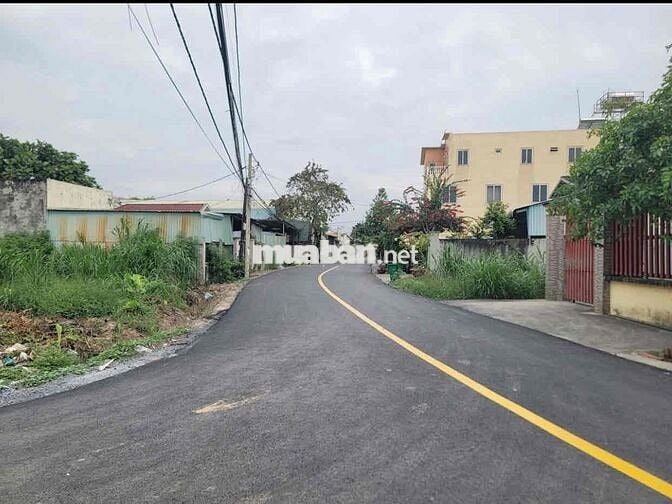 (5) TRỜI ƠI💥ĐẤT 2MT CỰC ĐẸP NÈ MỌI NGƯỜI ƠI - XÃ TÂN PHÚ TRUNG