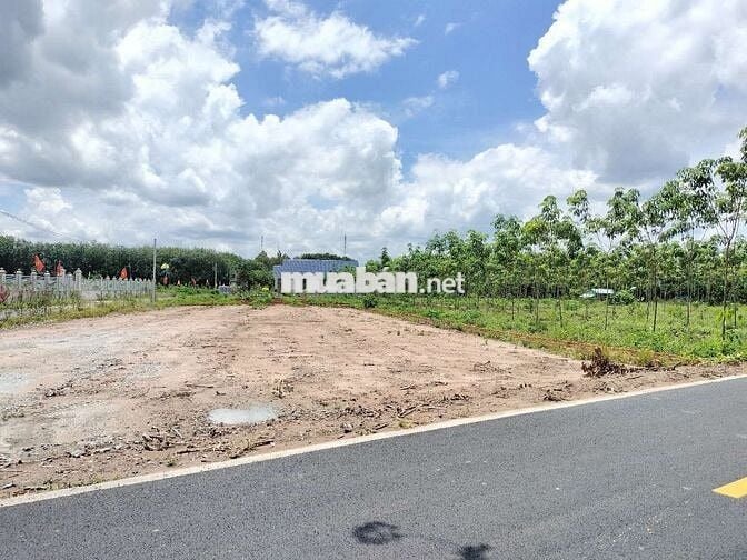 Đất rẻ 199tr có ngay 300m² - 100TC đất đẹp đừong nhựa dân cư hiện hữu