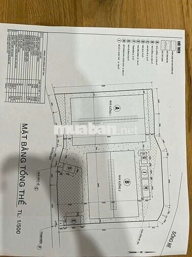 _Bán đất xây dựng kho xưởng 
_Phước Hoà ,Phú Giáo, Bình Dương
