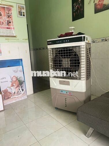 Nhà nguyên căn đang càn tìm 1 bạn nam ở ghép