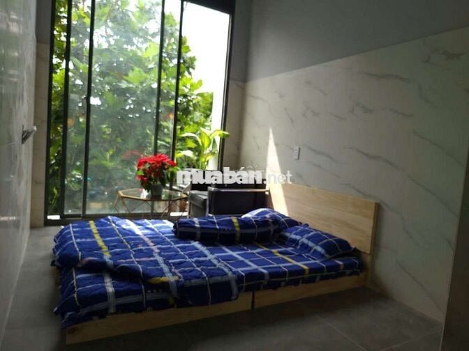 KHAI TRƯƠNG PHÒNG MỚI GIÁ SINH VIÊN
