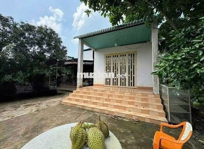 Chính Chủ Bán Ngộp Nhà cấp 4, Vườn Cây Trái rộng 2600m2, Giá 630 triệu