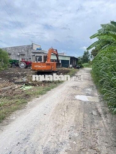 Đất 10 x 25 (250m2 Full thổ) đường đá xanh 5m thông,Mỹ Hạnh Nam