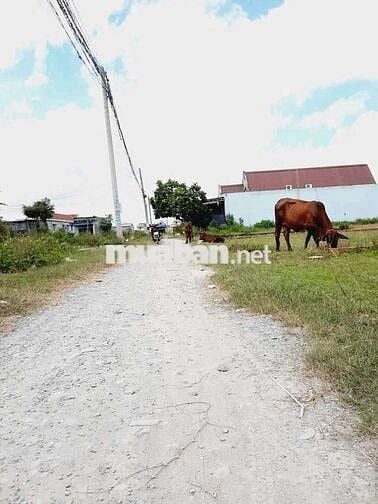 Đất 5,5 x 25 (137m2 Full thổ) hẻm ôtô thông, gần PCC Nguyễn Văn Lỗng
