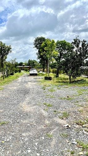 Bán nhà vườn mặt tiền đường xe container, siêu đẹp giá hợp lý