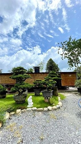 Bán nhà vườn mặt tiền đường xe container, siêu đẹp giá hợp lý