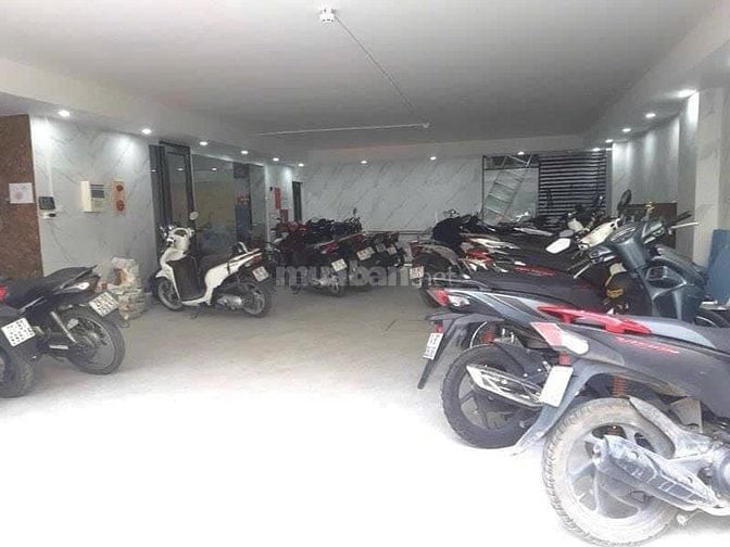 Bán nhà phố Trấn Vũ - Trúc Bạch, 7 tầng, có thang máy, vỉa hè, ô tô