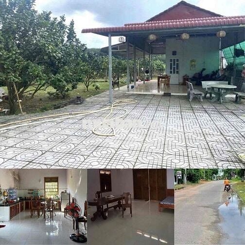 CẦN BÁN GẤP LÔ ĐẤT VƯỜN GIÁ NGỢP CỰC KÌ ĐẸP🔥