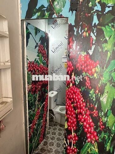 Cho thuê mặt bằng 4,5x5m - 581/5 Trường Chinh -hẻm xe hơi quận Tân Phú