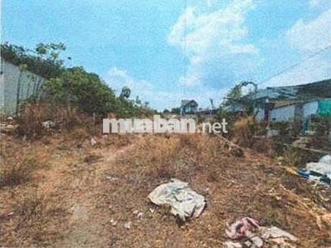 Bán ĐGTS đất tại phường Phú An, TP. Hồ Chí Minh