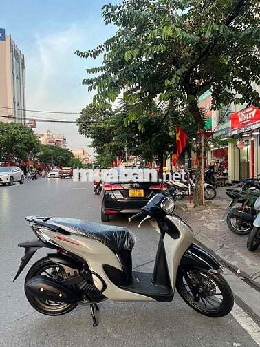 Bán-Xe-Shmode Xám-Ximang/ bản Thể Thao.