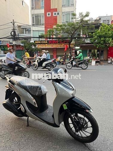 Bán-Xe-Shmode Xám-Ximang/ bản Thể Thao.