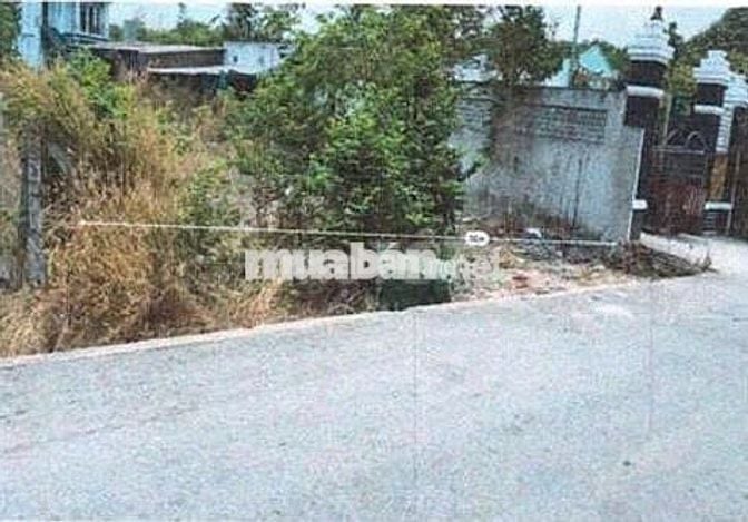 Bán ĐGTS đất tại phường Phú An, TP. Hồ Chí Minh